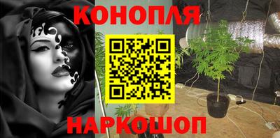 тгк Лесосибирск