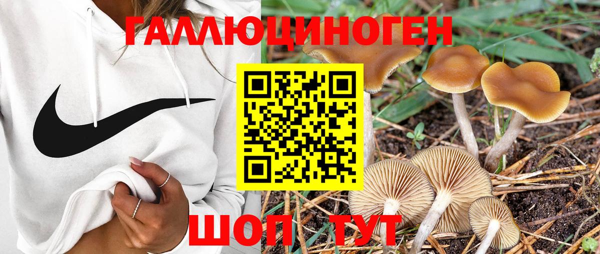 Галлюциногенные грибы MAGIC MUSHROOMS Выкса
