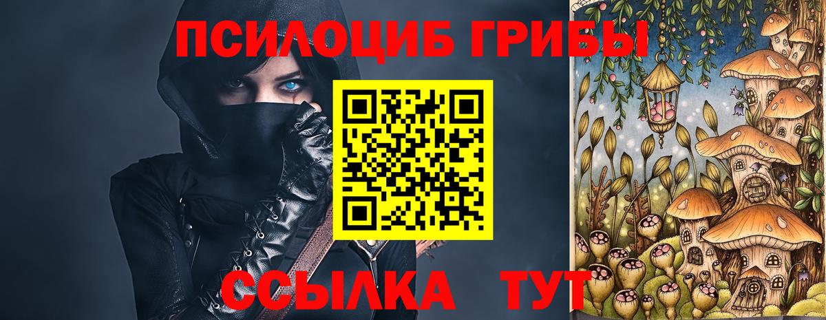 Выкса  Псилоцибиновые грибы мицелий  Вход с VPN 